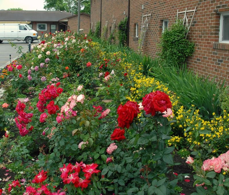 Keswick酒店住宿-Newmarket Inn