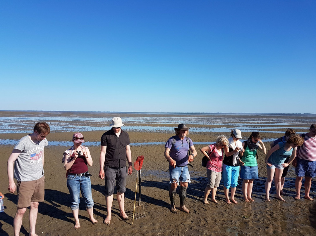 Wattführer Arvid Private Tours-Langeoog必去景点