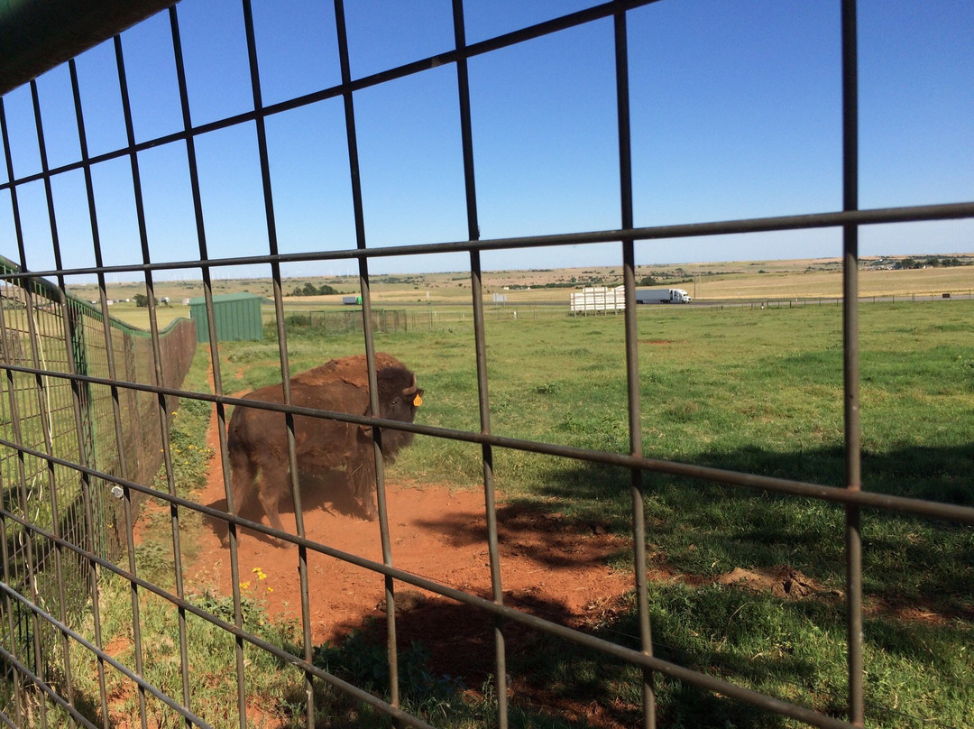 Cherokee Trading Post-Clinton必去景点