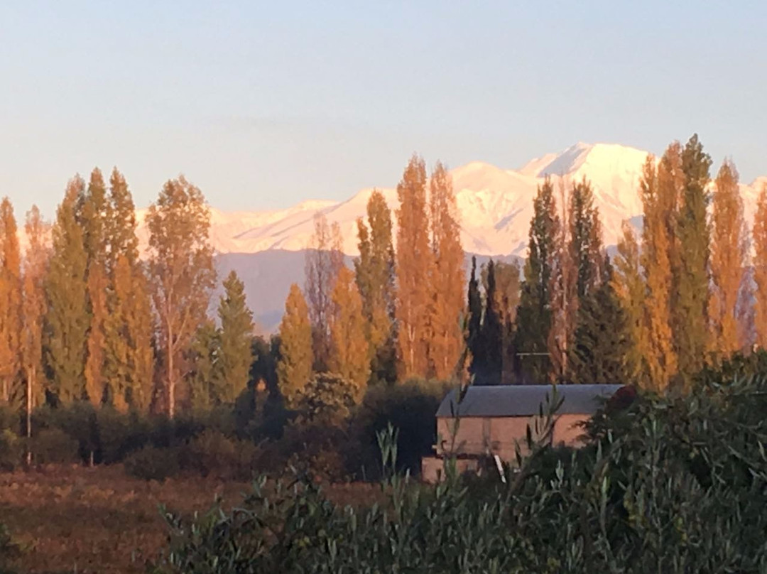 Guest House EL Tata - Posada主图