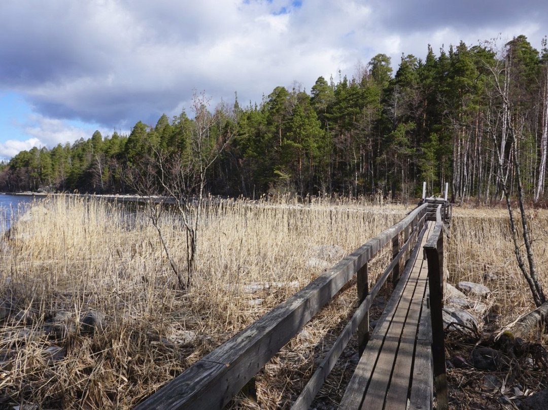 Malonsaari Island-Imatra必去景点