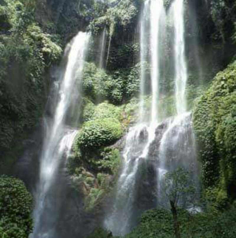 Kakatua Tour景点图片