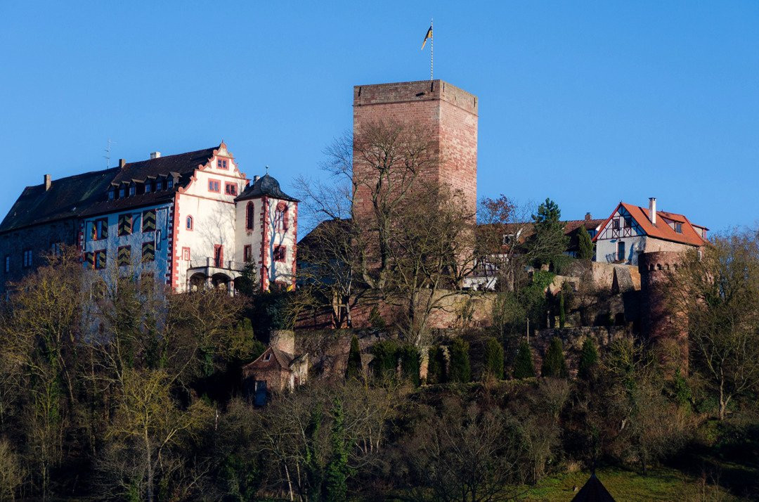 Burg und Burgpark Gamburg景点图片