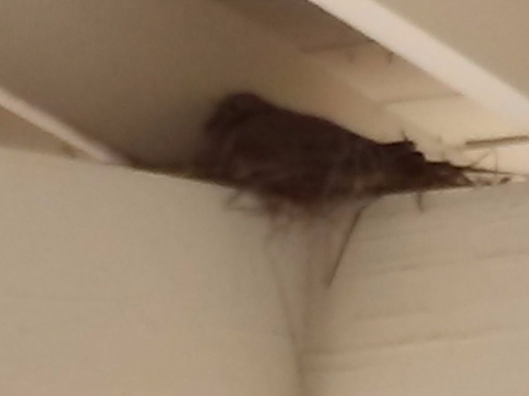 William Root House-玛丽埃塔必去景点