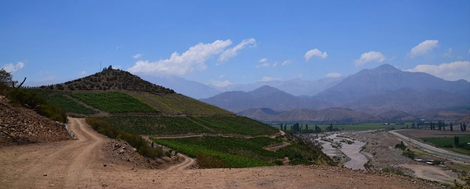 Parque Arqueológico Paidahuén景点图片