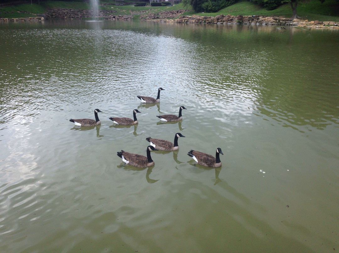 Krug Park-圣约瑟夫必去景点