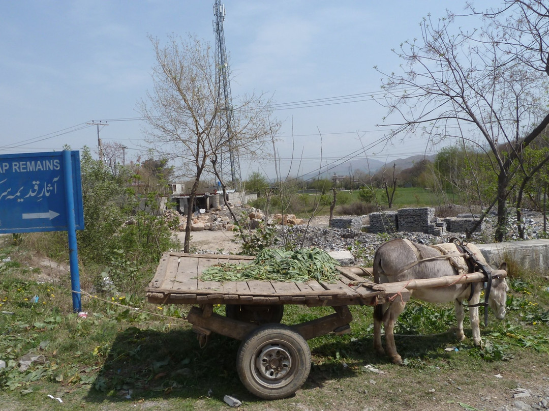 Sirkap-Taxila必去景点