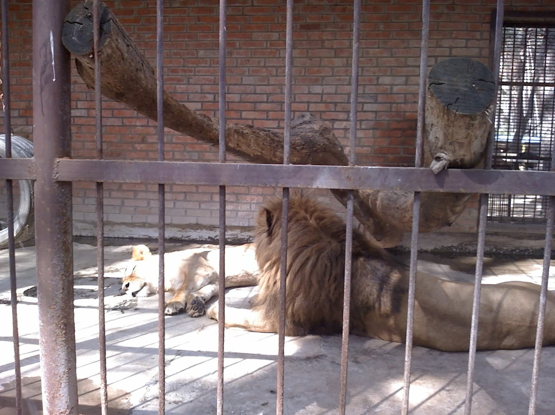 Parus-Maksi Recreation Complex-Staryi Saltiv必去景点