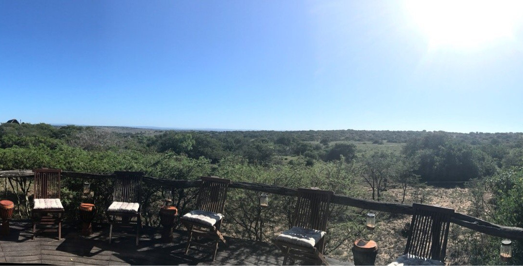 Bush Lodge Amakhala主图