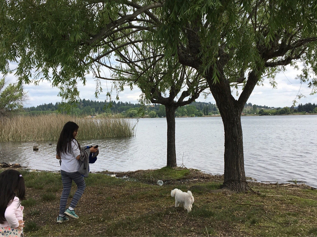 Laguna Avendano-Quillon必去景点