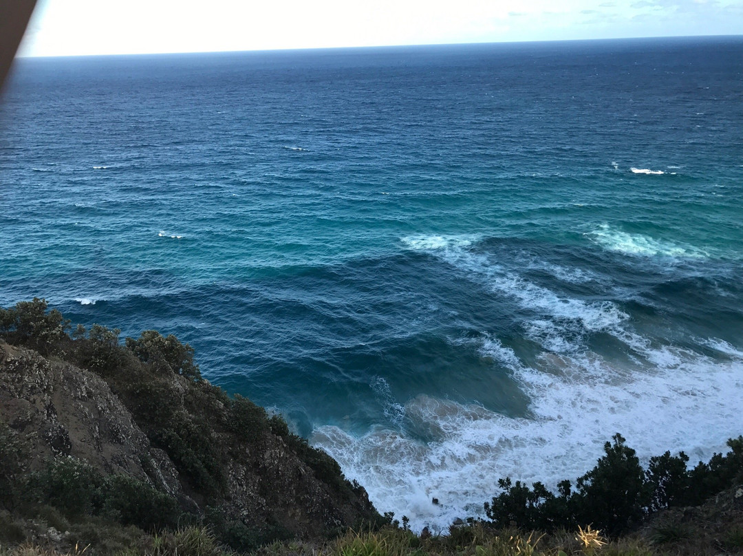 Cape Byron State Conservation Area景点图片