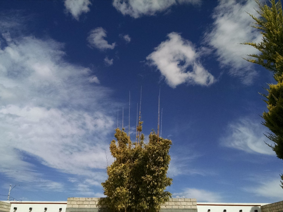 Desierto Hotel主图