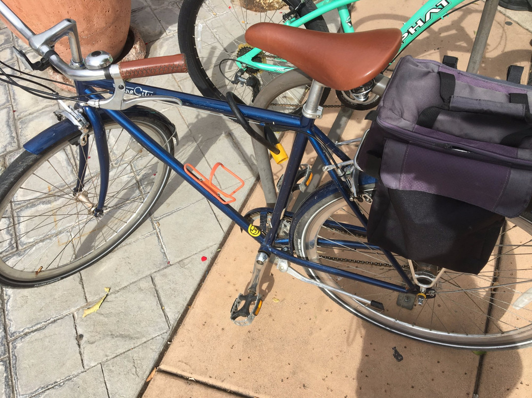 The Bicycle Cellar-坦佩必去景点