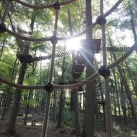 Kletterwald Spessart景点图片