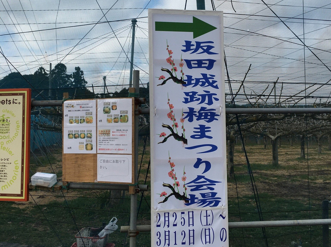 Sakata Castle Ruin-横芝光町必去景点