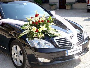 DS Prestige Driver-土伦必去景点