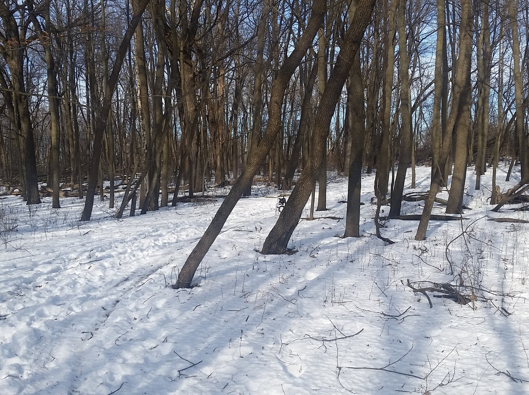 Rice Lake State Park-Owatonna必去景点