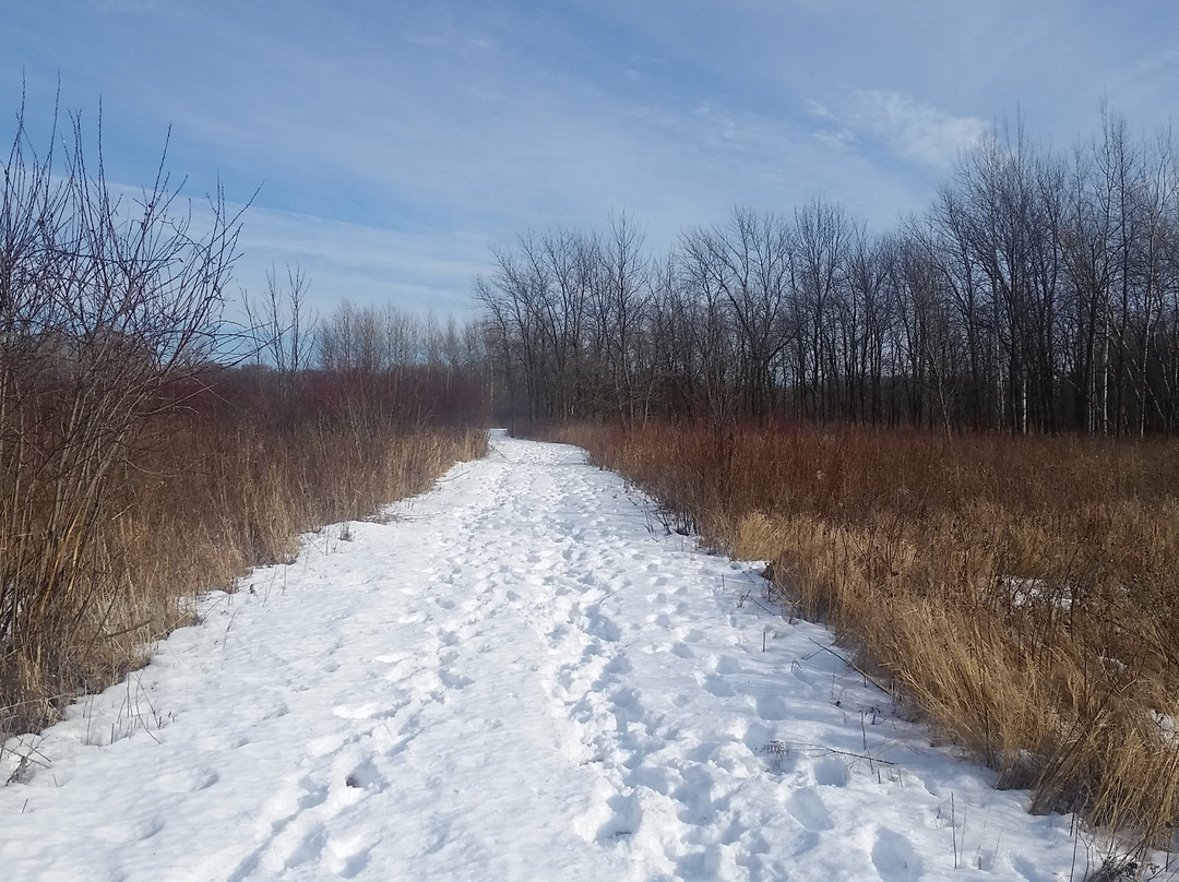 Rice Lake State Park-Owatonna必去景点