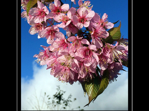 景东彝族自治县旅游攻略图片