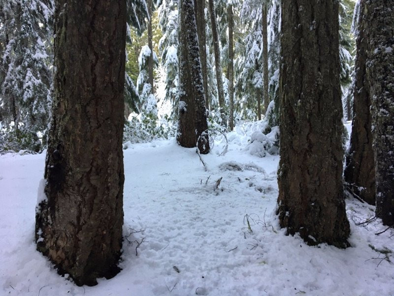 Willamette Pass Resort-Crescent必去景点