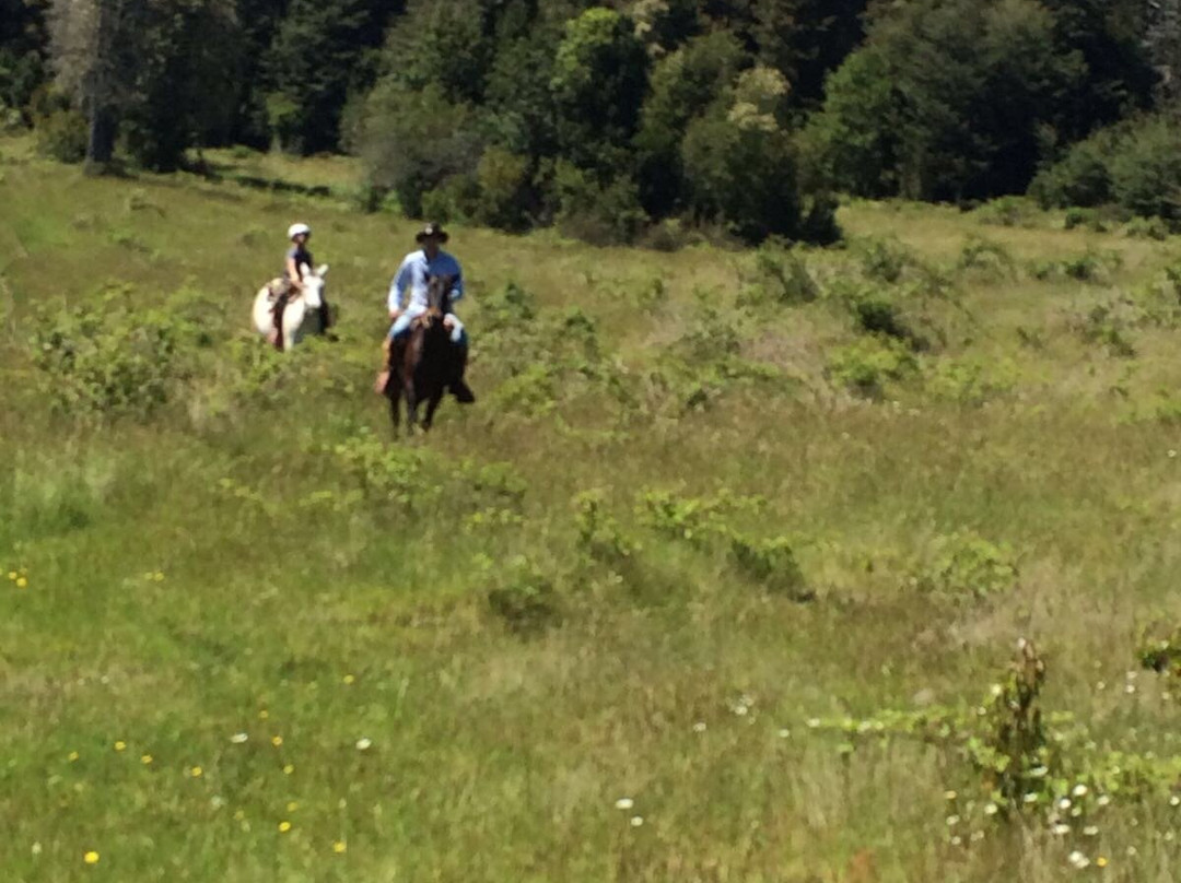 Cabalgatas-耐尔杜美必去景点