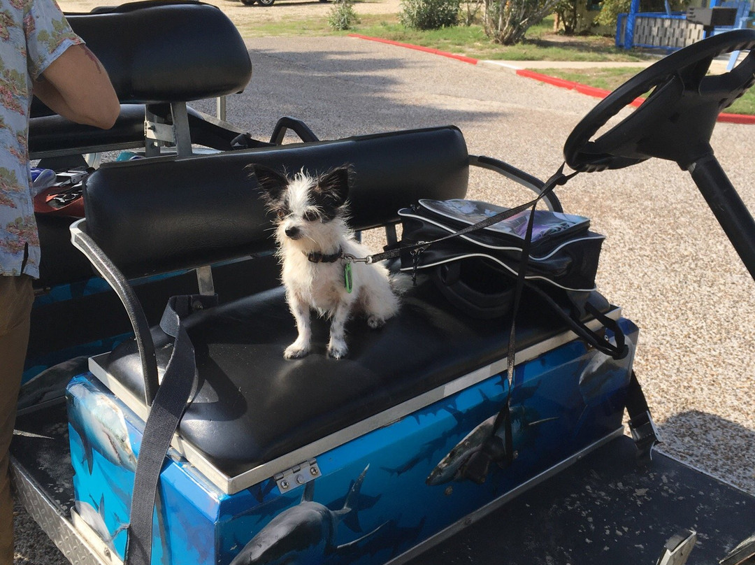 Cars and Carts Rentals-阿兰瑟斯港必去景点