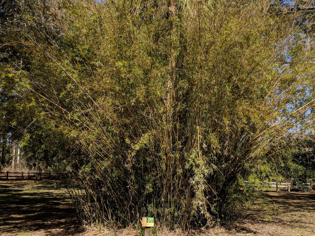 Moody Homestead Park-Bunnell必去景点