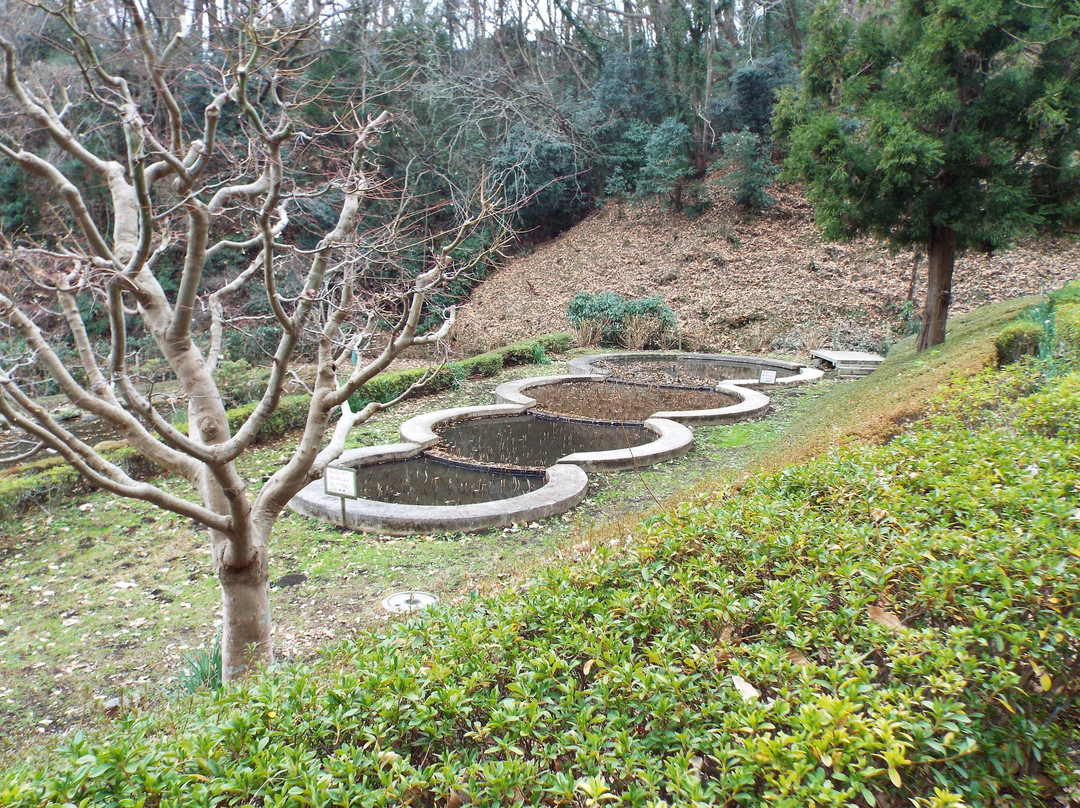 Ninomiya Seseragi Park景点图片