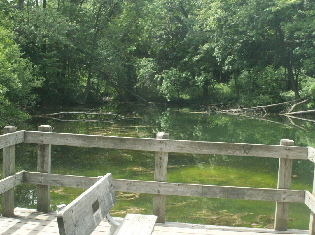 Stony Creek Metropark景点图片