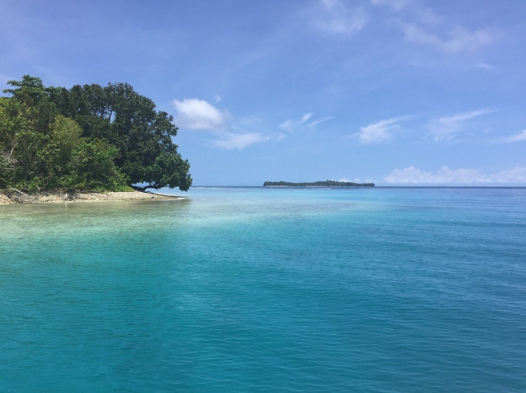 Coral Sea Resort Boat Charter景点图片