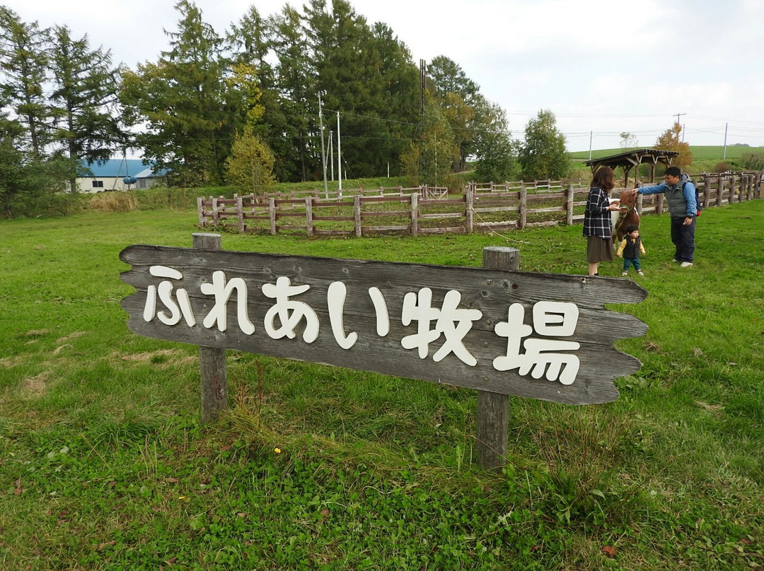Fureai Farm-美瑛町必去景点