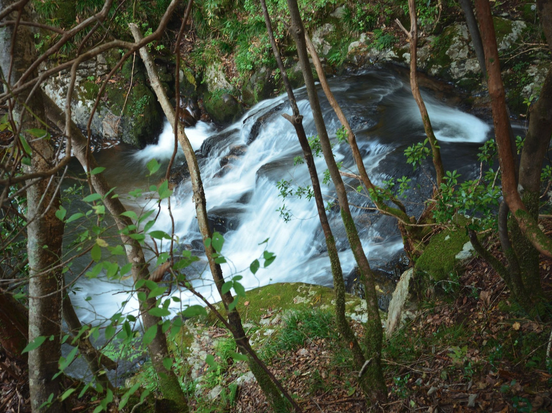 Nondaki