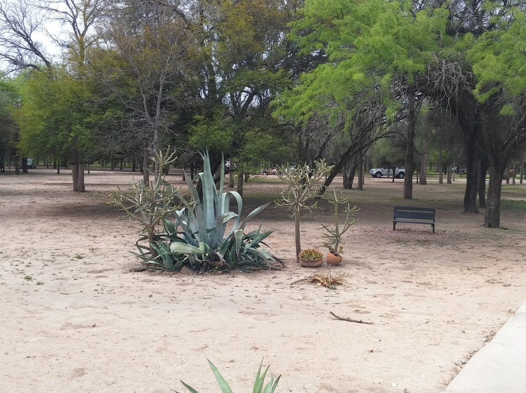 Reserva Natural Piguem N’Onaxa “Campo del Cielo”景点图片