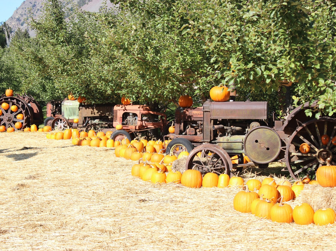 Parsons Fruit Stand-Keremeos必去景点