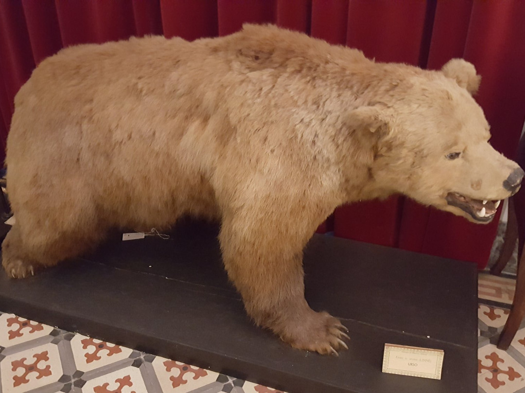Museu de Zoologia-科英布拉区必去景点