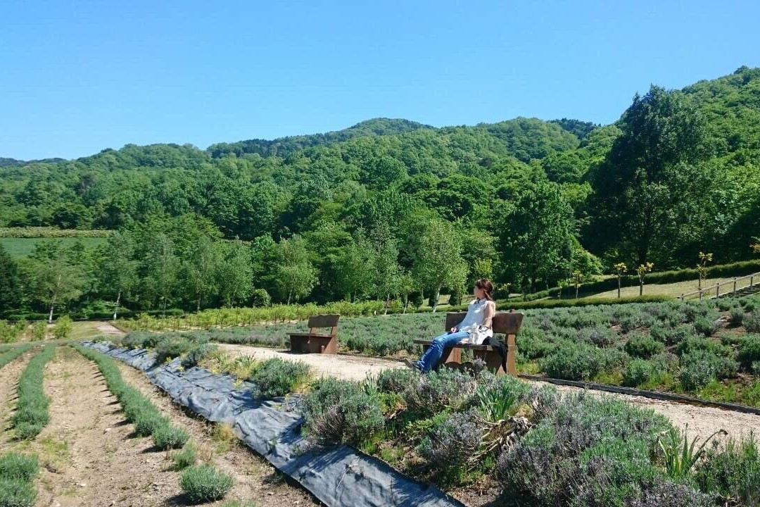 Hiruzen Herb Garden Herbill景点图片