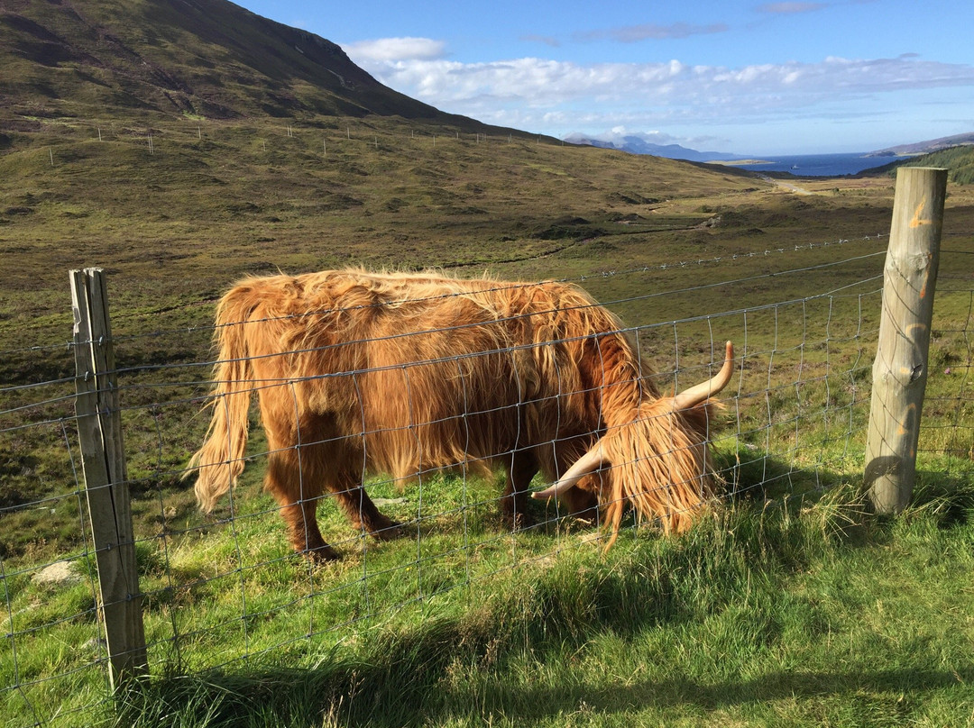 Skye Magical Tours景点图片