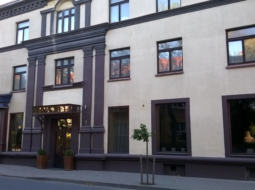 Klaipėda Art Hotel Lūgnė主图