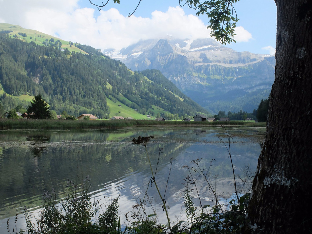 Lenk im Simmental旅游攻略图片