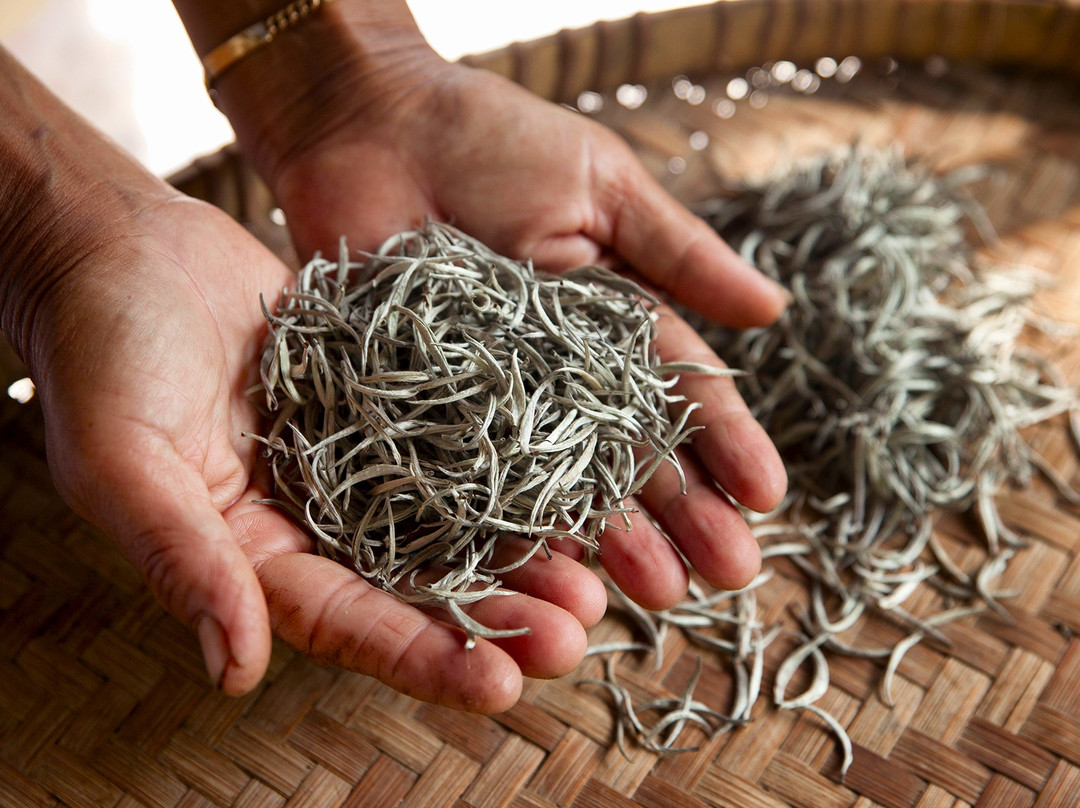 Taste of Yogyakarta-日惹必去景点