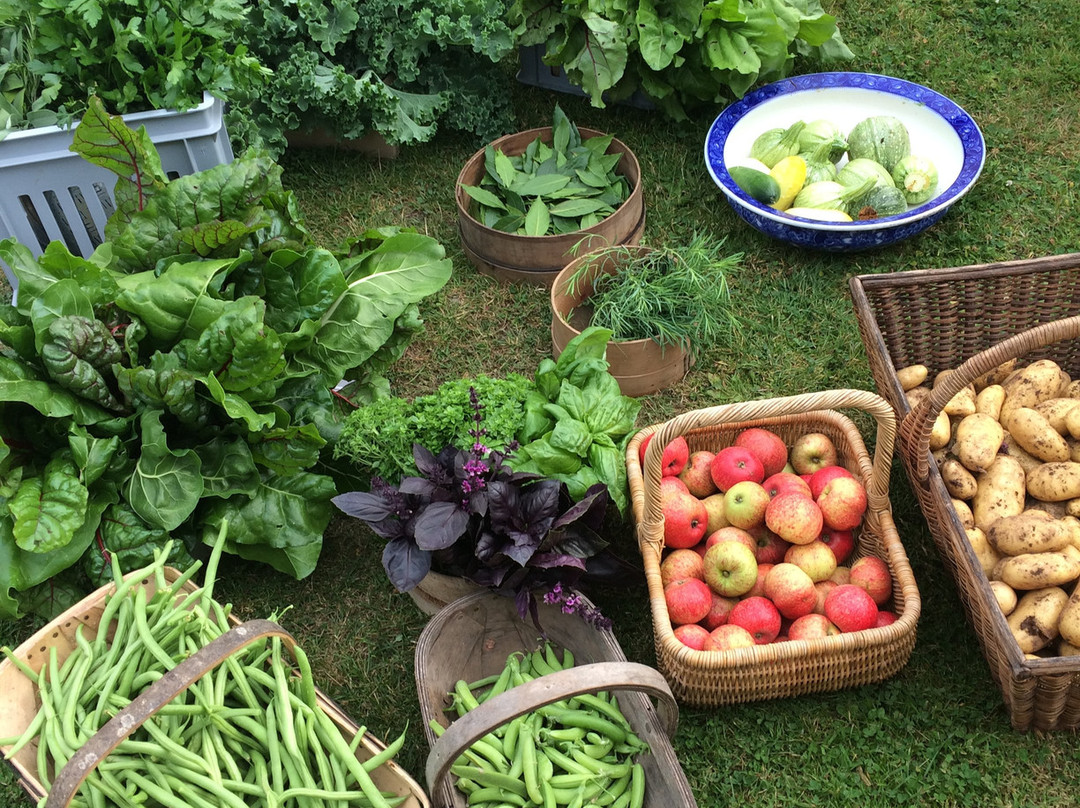 The Kitchen Garden Ty Mawr-布雷肯必去景点