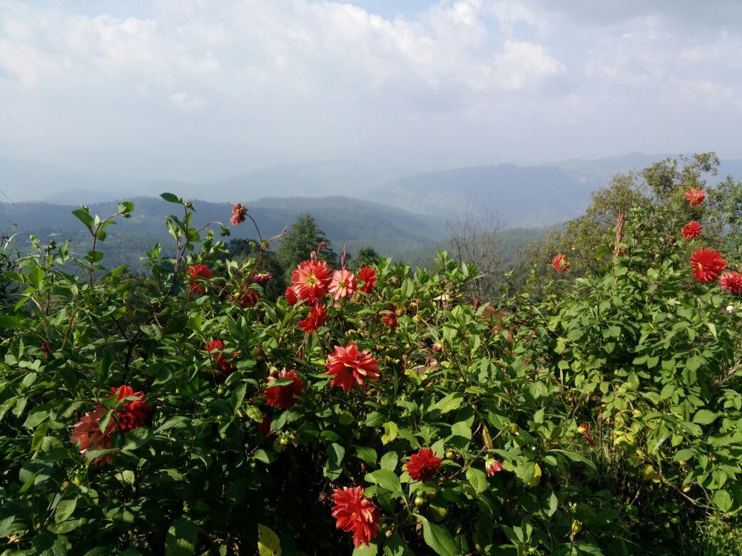Mukteshwar Mahadev Temple-Mukteshwar必去景点