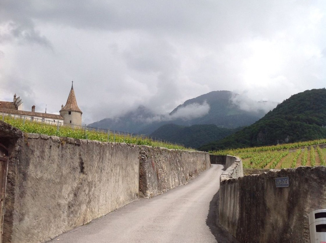 Vine, Wine and Wine Label Museum-埃格勒必去景点