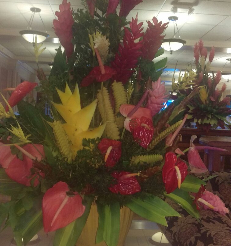 Pago Pago Tradewinds Tours - Day Tours-Pago Pago必去景点