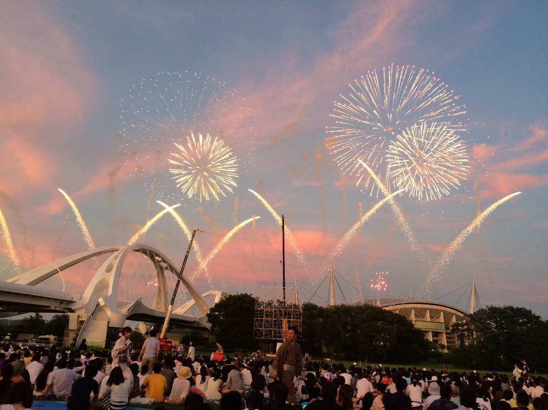 Toyota Oiden Festival Fireworks-丰田市必去景点