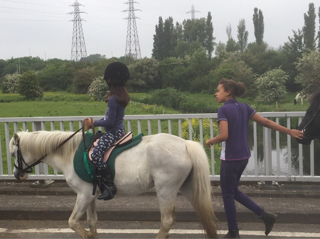 Sandwell Valley Riding Centre景点图片
