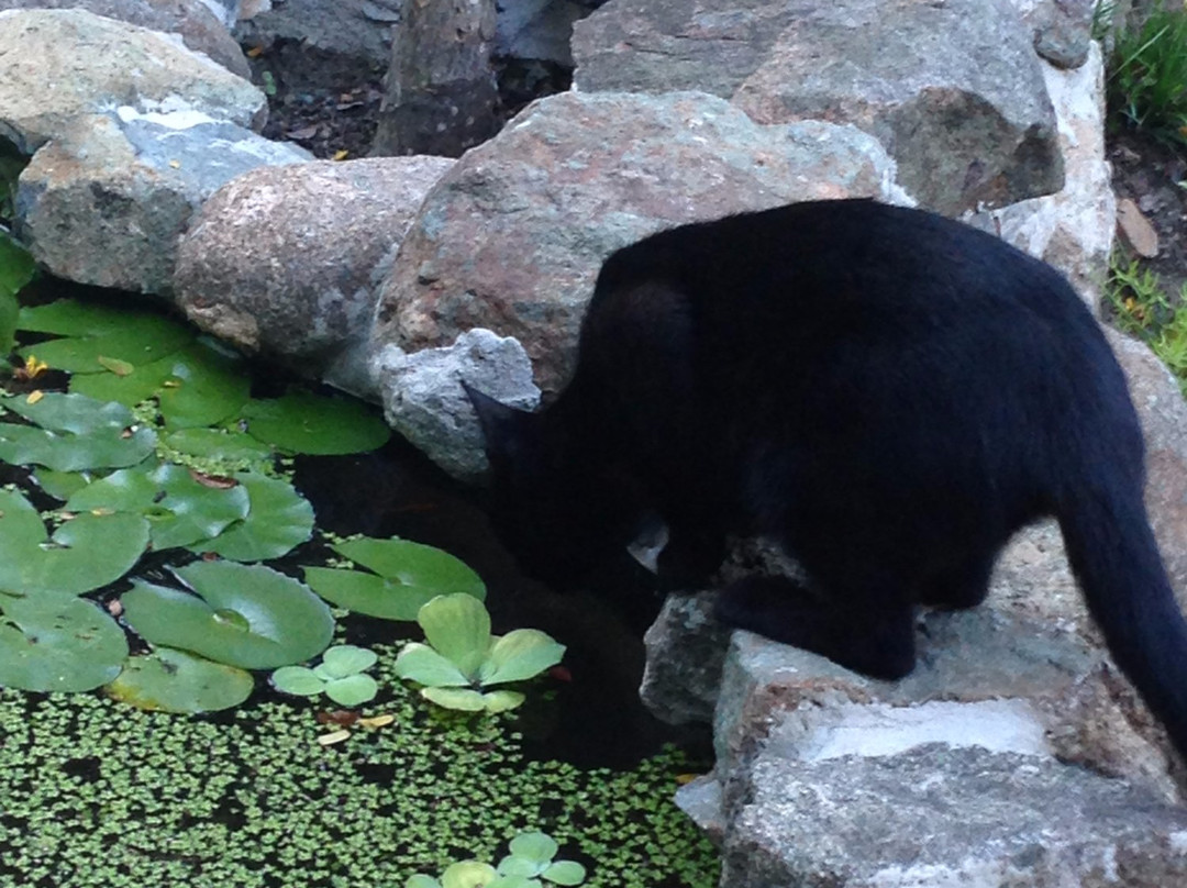 Tillett Gardens-East End必去景点