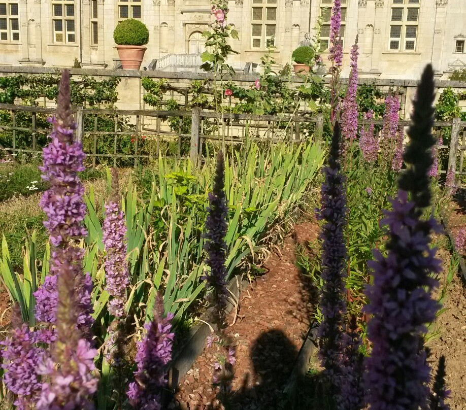 Château du Grand Jardin景点图片