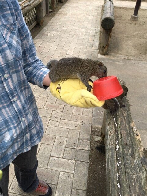 Shimin Fureai no Sato-大阪狭山市必去景点