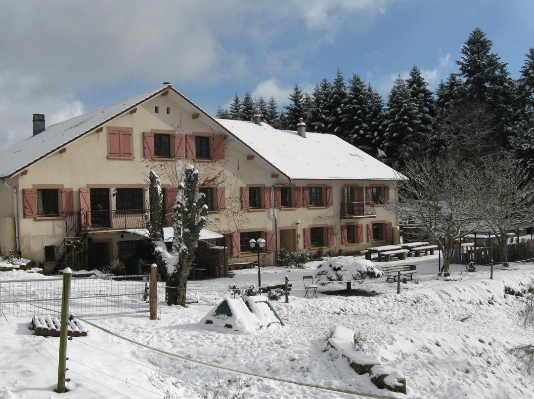 La Belle Charbonnière主图